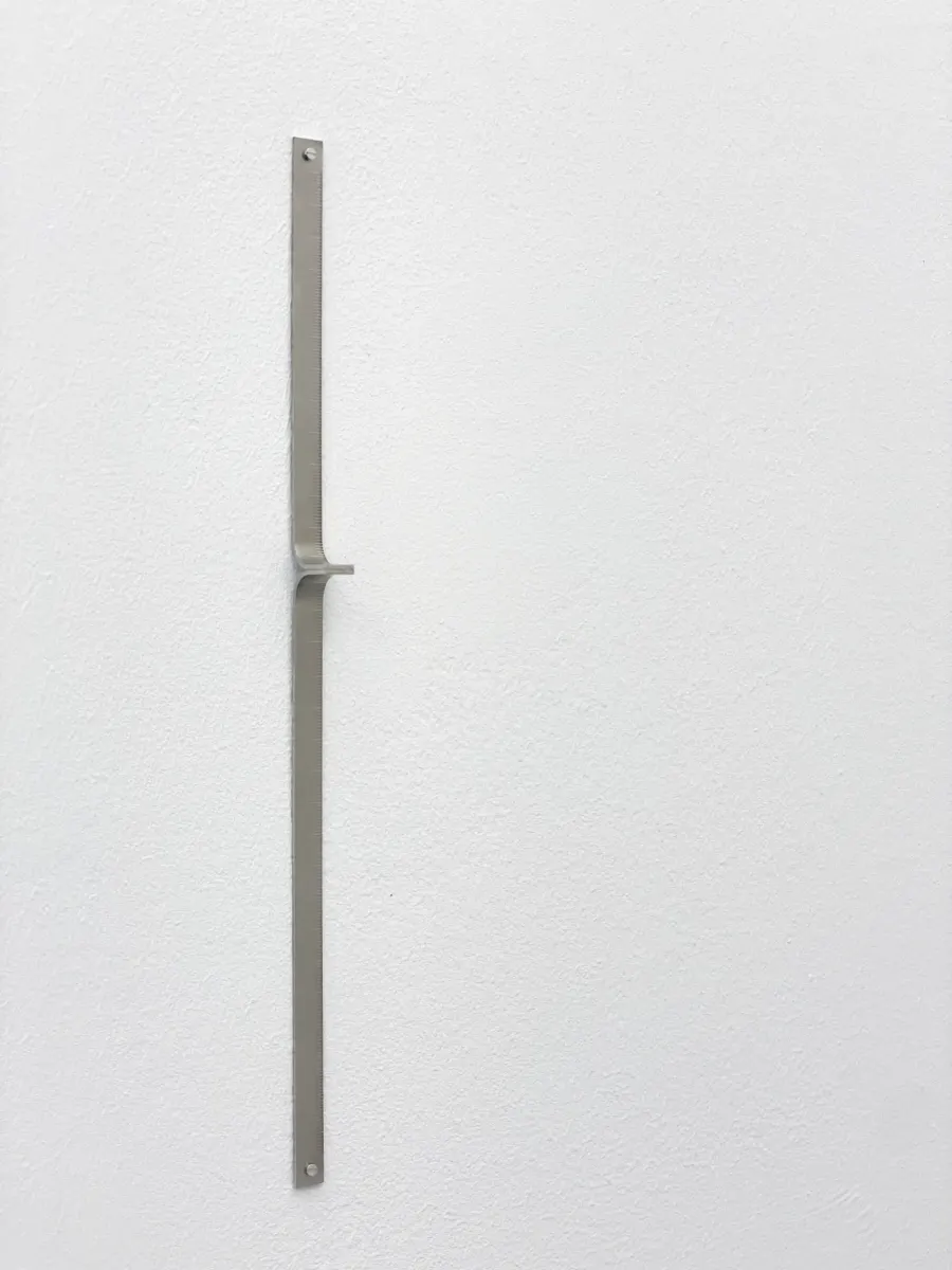 basis